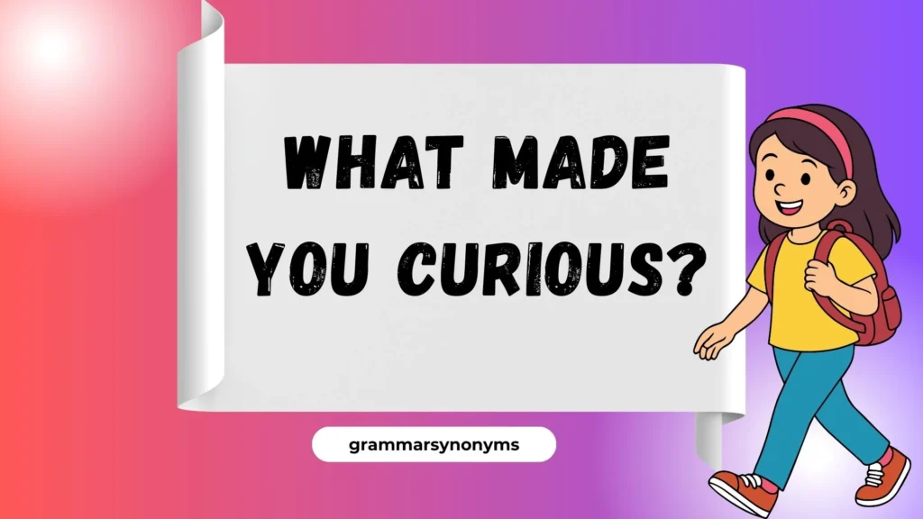 What made you curious?