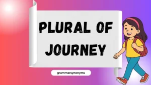 Plural of Journey