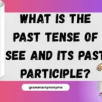 What is the Past Tense of See and Its Past Participle?